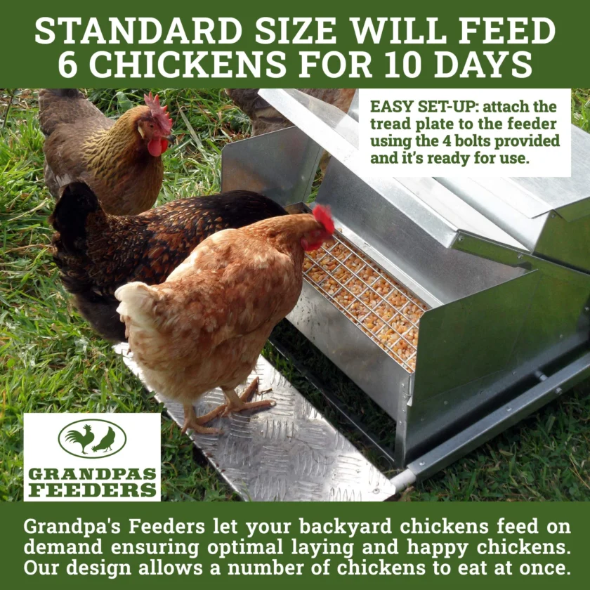 Grandpa's Feeders Automatic Chicken Feeder - Image 4