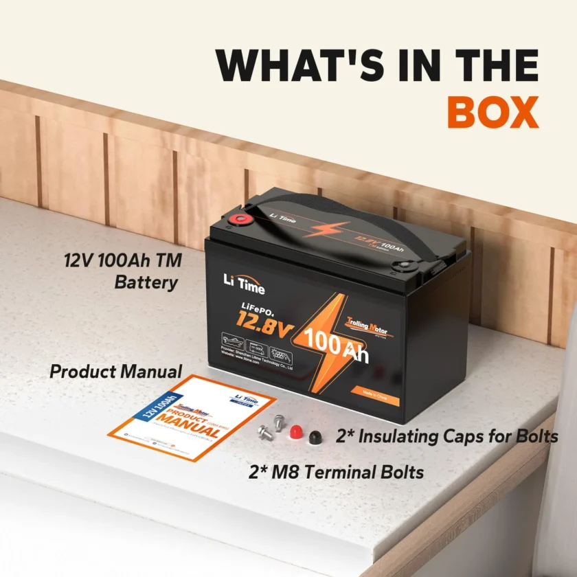 LiTime 12V 100Ah TM LiFePO4 Lithium Battery Built in 100A BMS - Image 2